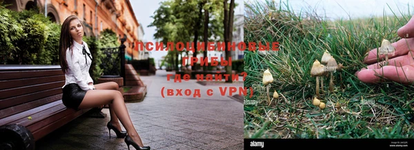 spice Медвежьегорск